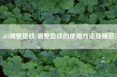 s83<a href='http://www.happy1023.com/jichuangdiantiexilie/' target='_blank' title='調(diào)整墊鐵' ><strong>調(diào)整墊鐵</strong></a>(調(diào)整墊鐵的使用方法及規(guī)范)